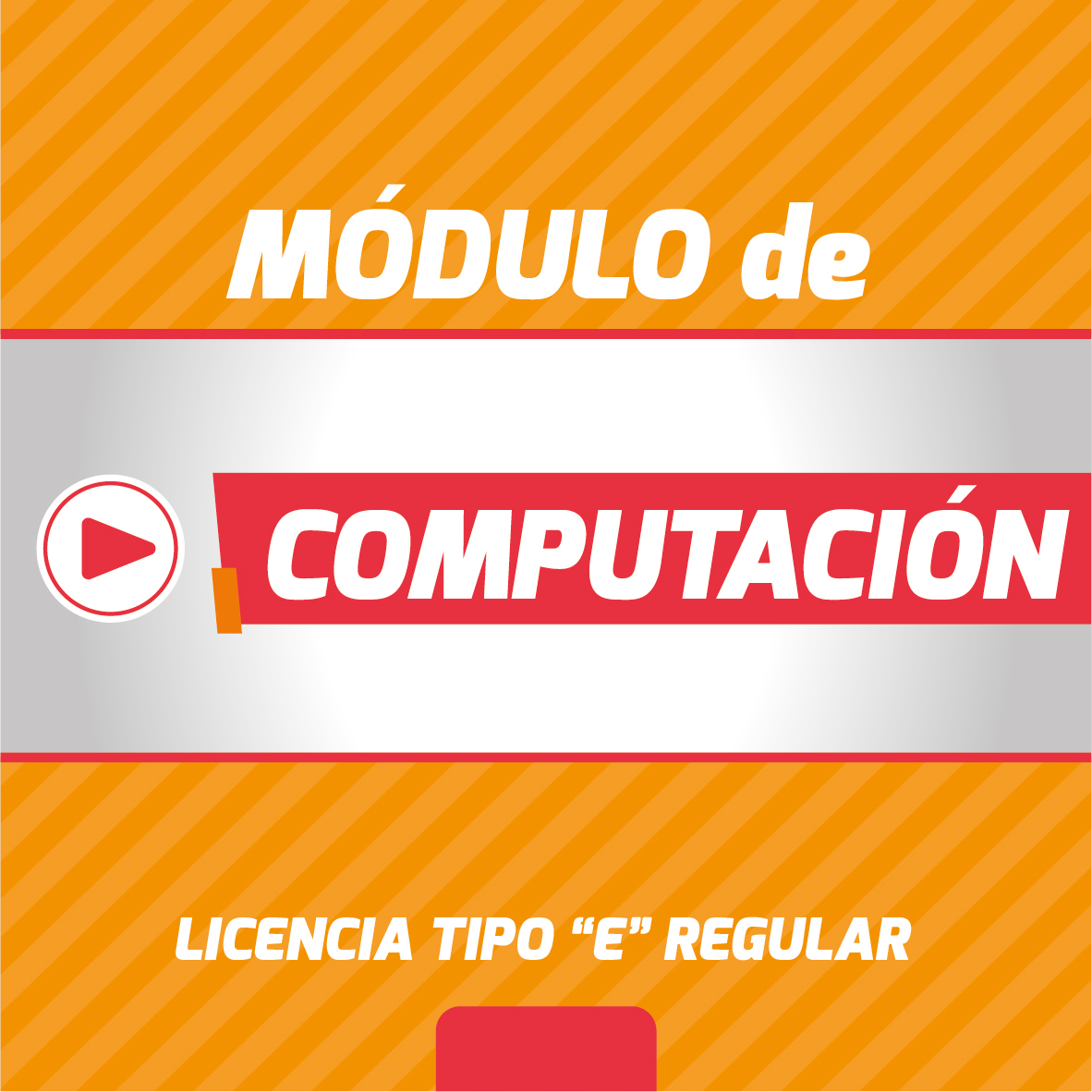 CURSO BÁSICO DE COMPUTACIÓN PARA LICENCIA PROFESIONAL TIPO E PARALELO E-1