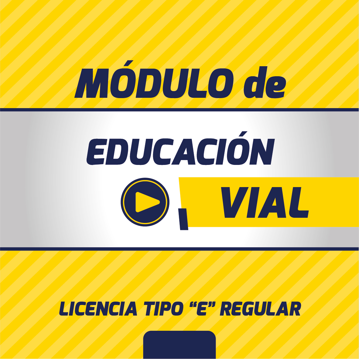 CURSO REGULAR DE EDUCACIÓN VIAL PARA LICENCIA PROFESIONAL TIPO E PARALELO E-1 